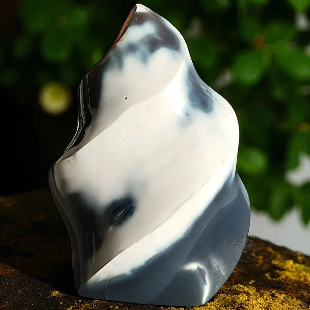 ORCA (KOSATKOVÝ) ACHÁT plamen č.2 334g