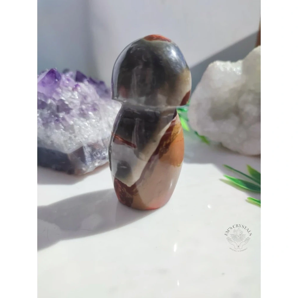 JASPIS POLYCHROM houba 105g č.4