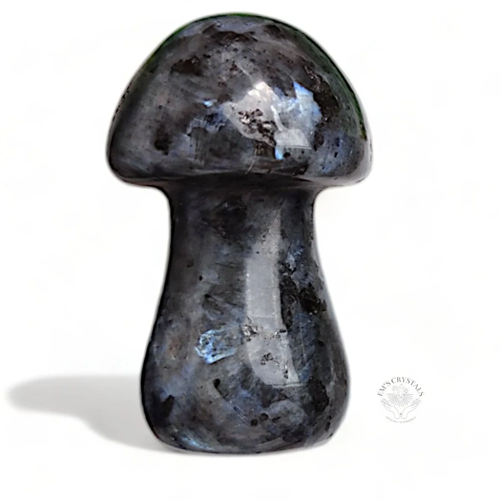LARVIKIT houbička 3,5cm