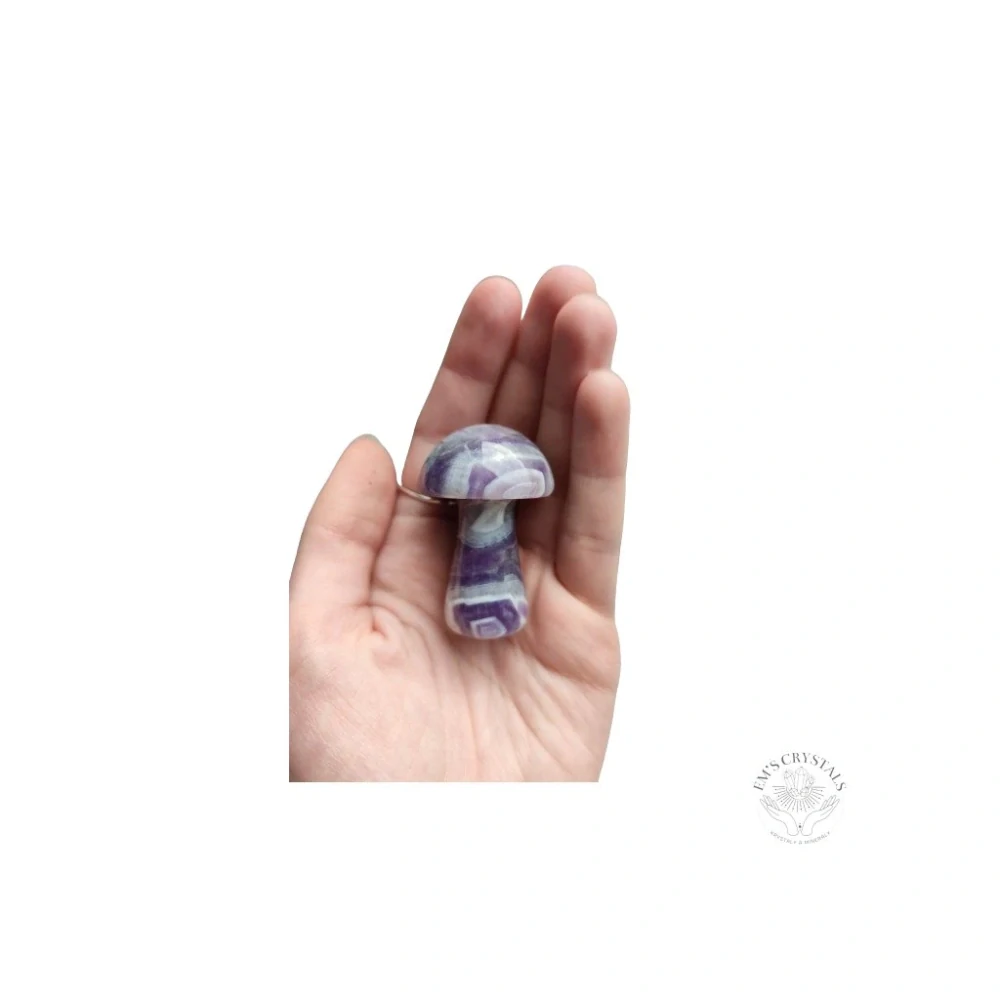 AMETYST houbička maxi 5cm