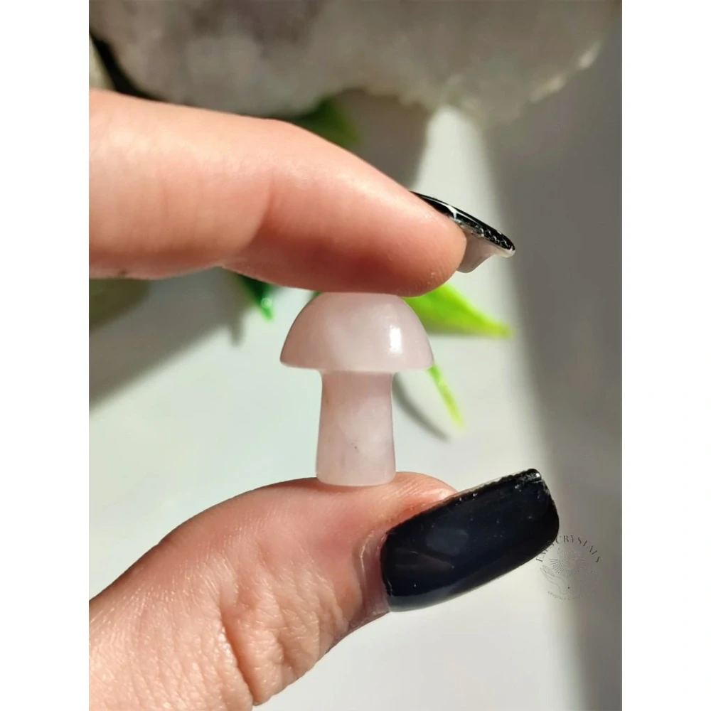 RŮŽENÍN houbička 1,5cm