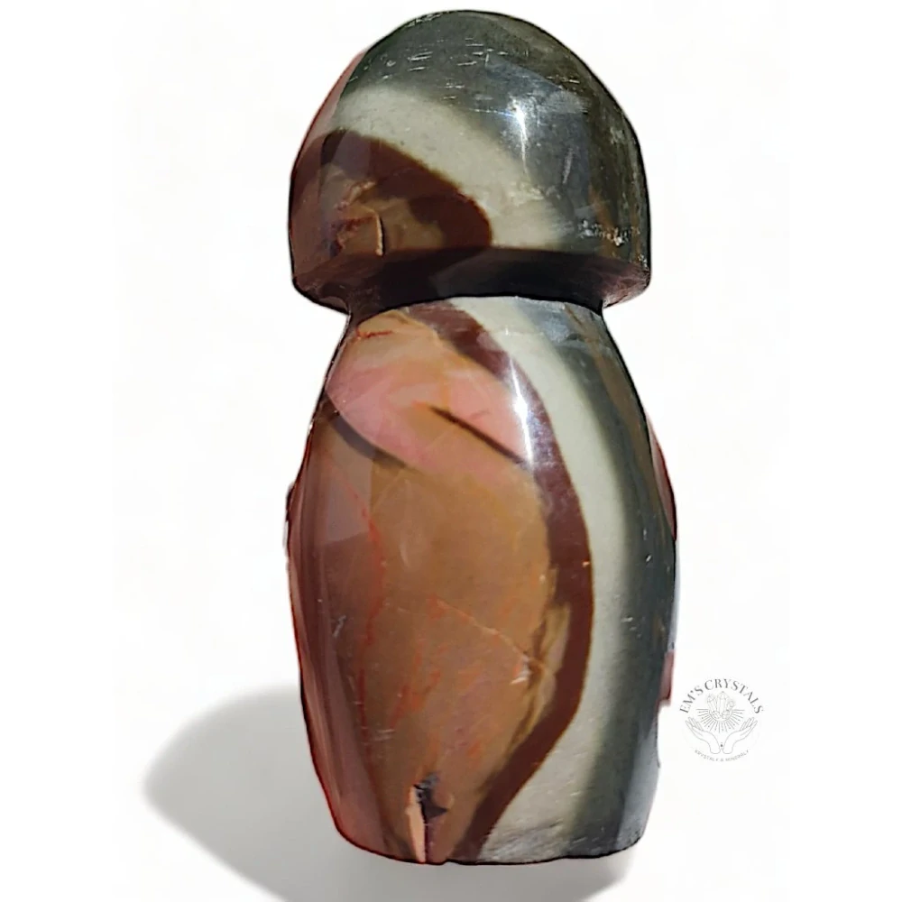 JASPIS POLYCHROM houba 105g č.4