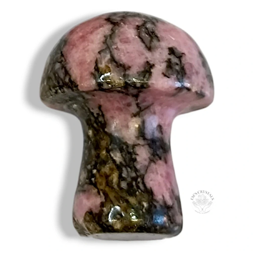 RODONIT houbička 1,5cm
