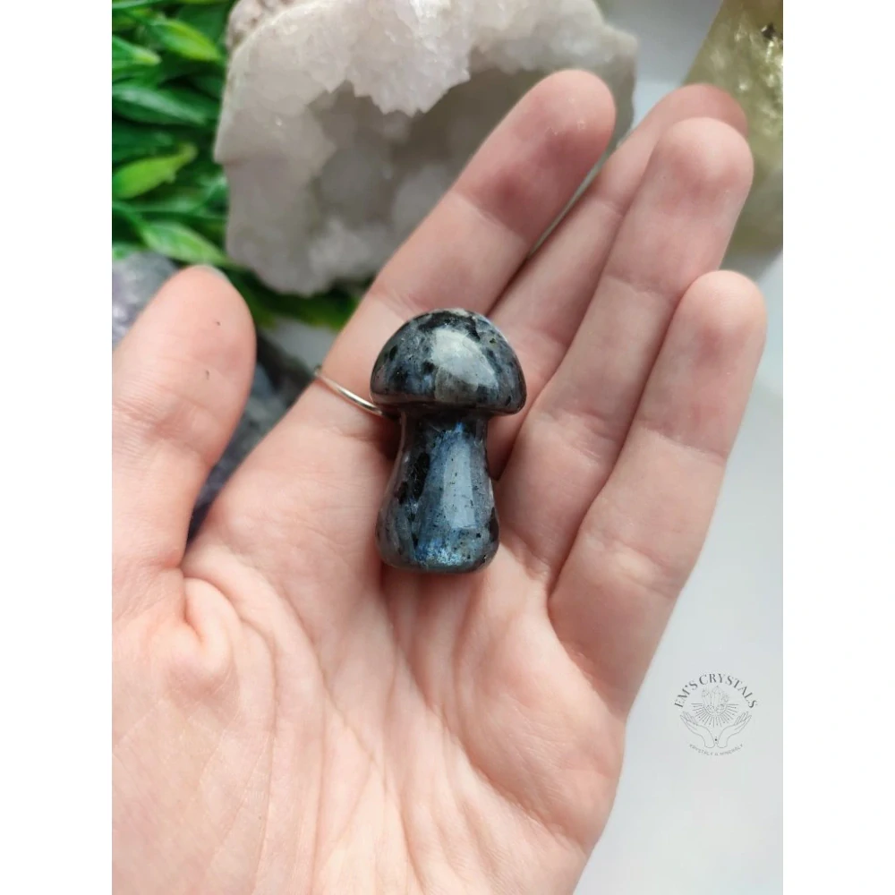 LARVIKIT houbička 3,5cm