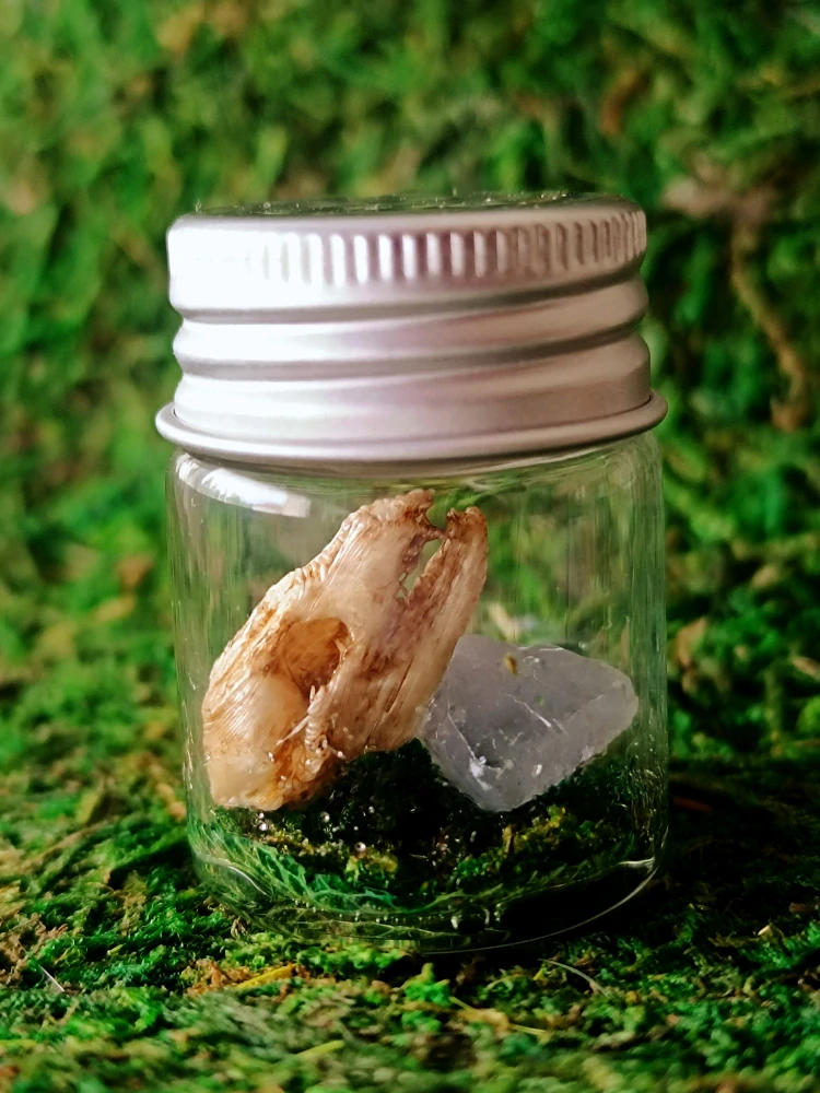 Mini Fantasy terárium - Duch lesa