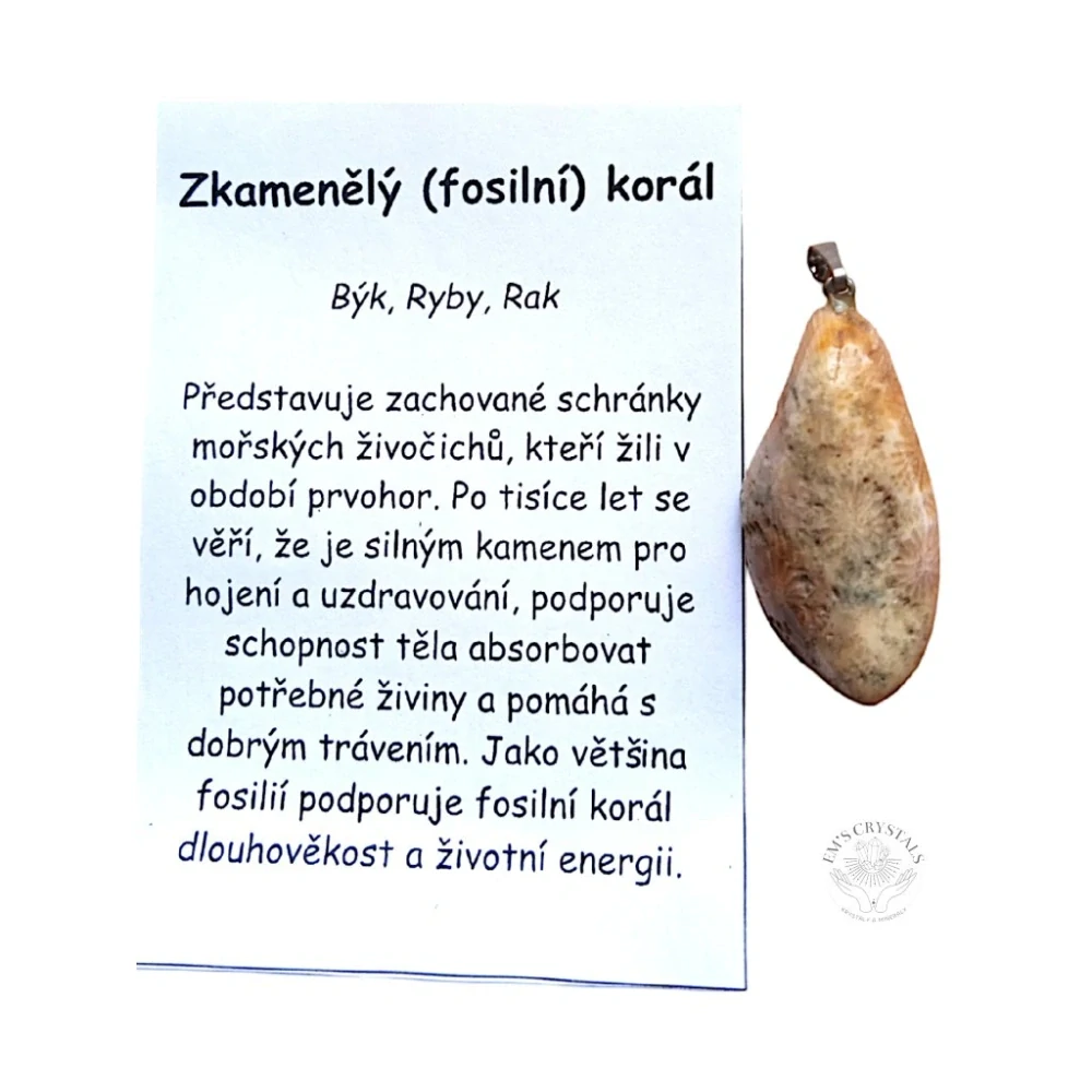 ZKAMENĚLÝ KORÁL přívěsek
