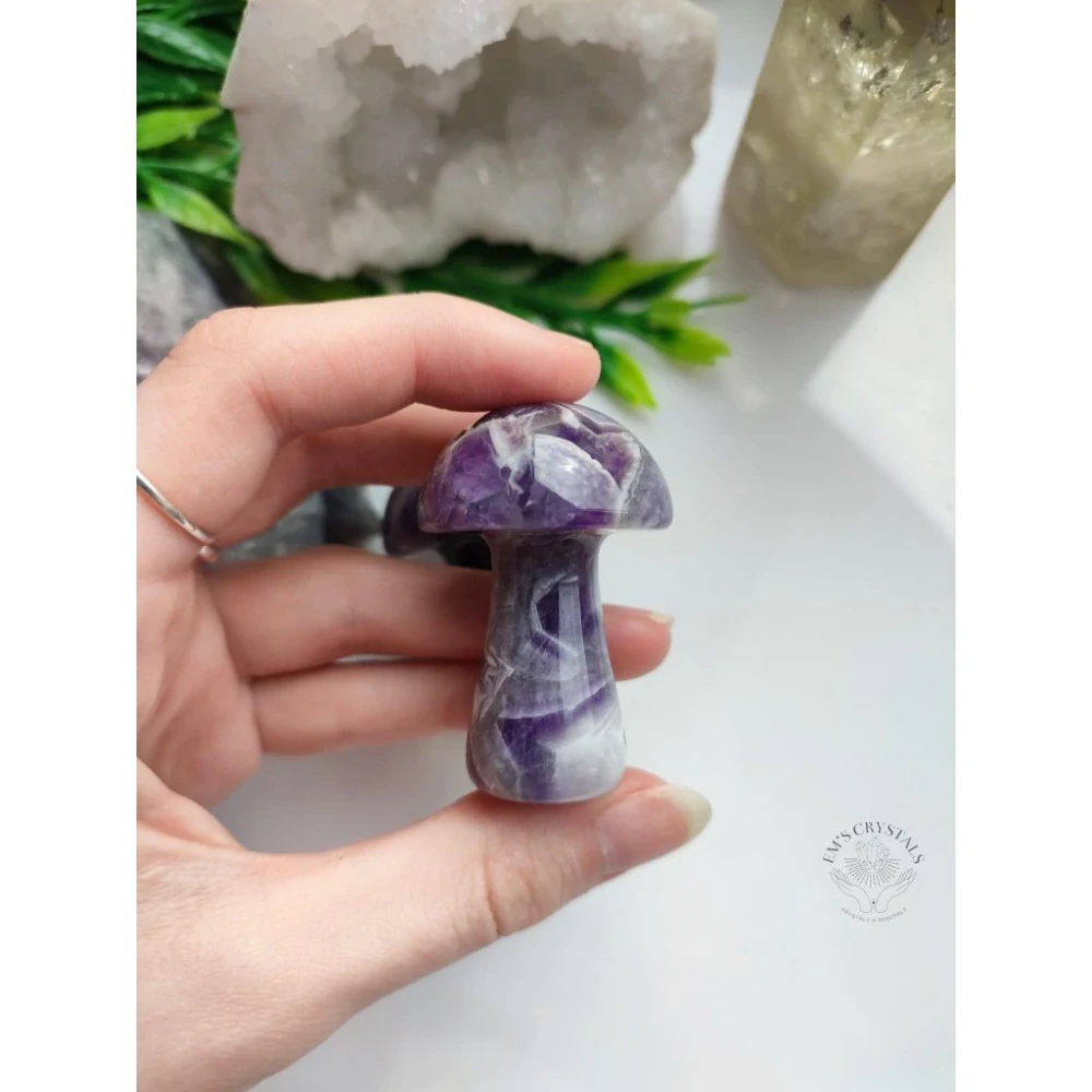 AMETYST houbička maxi 5cm