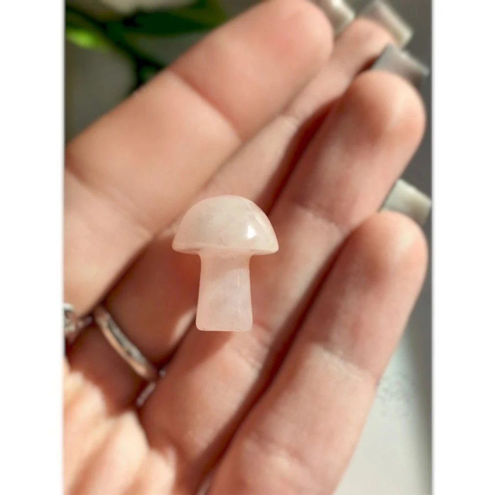 RŮŽENÍN houbička 1,5cm