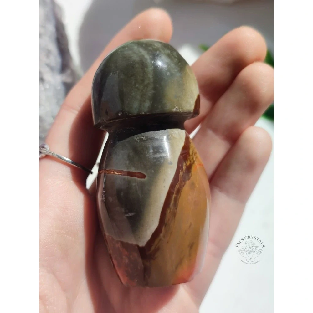 JASPIS POLYCHROM houba 105g č.4