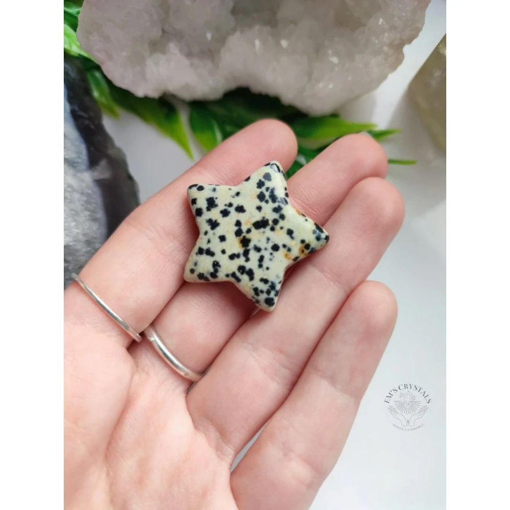 JASPIS DALMATIN hvězdička 3cm
