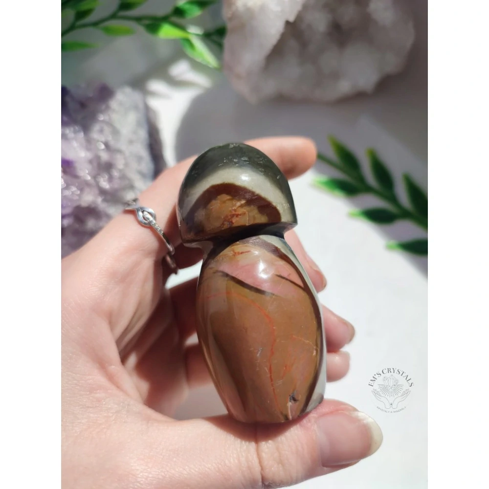 JASPIS POLYCHROM houba 105g č.4