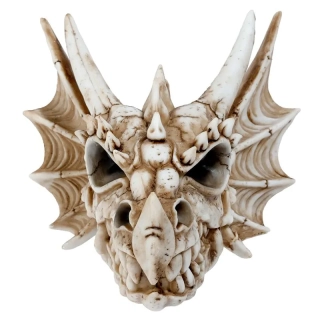 Nástěnná dekorace - Dračí lebka 22cm