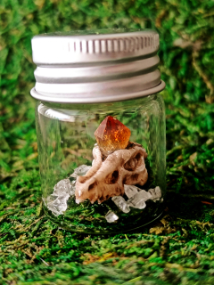 Mini Fantasy terárium - Dračí relikvie