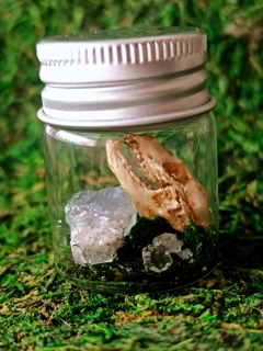 Mini Fantasy terárium - Duch lesa
